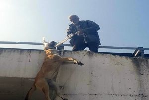Kpei boynundan kprye ast
