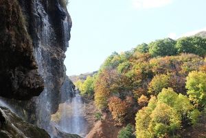  Dipsizgl elalesi bylyor