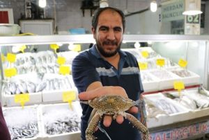 Denizi olmayan kentte yengece rabet artt