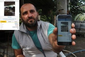  nternet zerinden ineklerini satmak isterken dolandrldlar