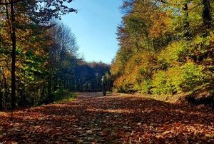 En gzel sonbahar fotoraflar