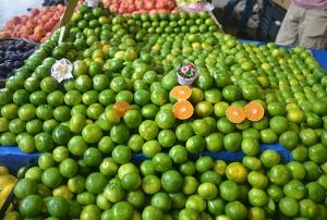 Kn C vitamini deposu mandalina tezgahlarda yerini ald