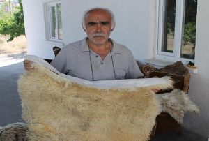 Krk ustas, atlyede kalp krizinden ld  