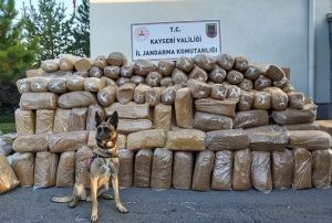  Kargo aracnda 6 ton 280 kilogram ttn ele geirildi