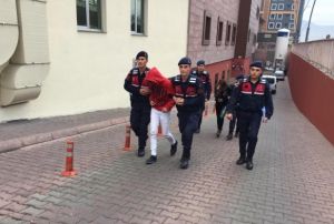 Hrszlk yapan kuzenler yakaland