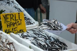 Grcistan hamsisi tezgahlar sslyor