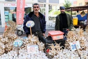  Sarmsak halde 35, pazarda 80 lira