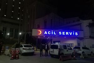 Arazi kavgasnda amca, yeenini vurarak ldrd