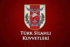 TSK konvoyu dlibe girdi