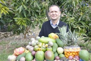 Tropikal meyveler yok satyor