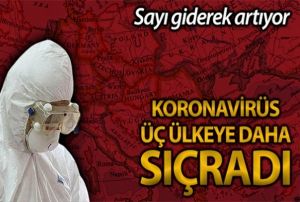Norve'te ilk korona virs vakas