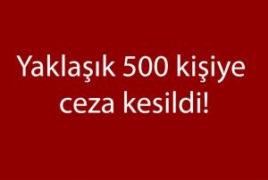 Kayseri'de sokaa kma yasana uymayanlara ceza kesildi
