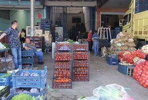 Sebze arz patlad, fiyatlar halde dip yapt, markette frlad