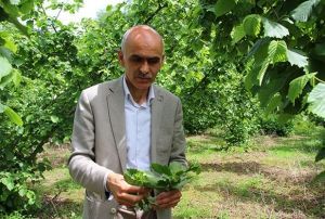 Karan: Trk fnd lkemize de yeter, dnyaya da yeter