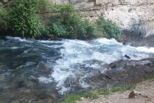 Dereye den Rana hayatn kaybetti