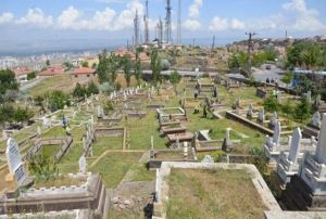 lm ve lm nedeni istatistikleri akland