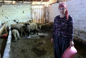 ki niversite bitirip 4 dil konuan Rus kadn hayvanclk yapyor