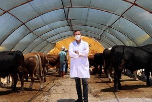Kurban pazarnda 'koronavirs' uyars