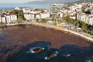 Selin srkledii aalar deniz yzeyini kaplad