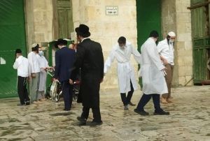 Fanatik Yahudiler Mescid-i Aksa'ya baskn dzenledi
