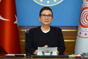 Emlaklk faaliyetlerine yeni dzenleme