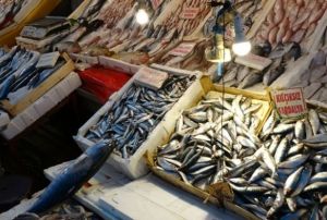 Yada kzartlan balk, proteinini kaybediyor