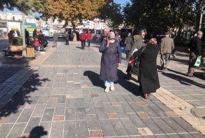 Korona virs denetimleri sryor