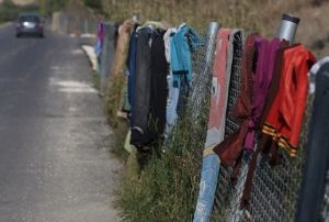 Her 30 kiiden biri gmen konumunda