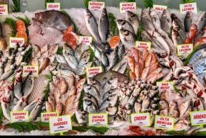 'iftlik balnda plastik birikimi daha az'