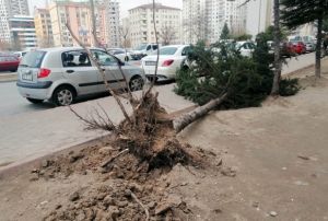 Rzgarn hz saatte 80 km hza ulat