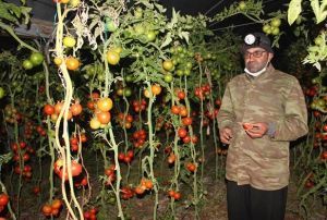 Meteoroloji uyard, reticiler zirai don nbeti tuttu