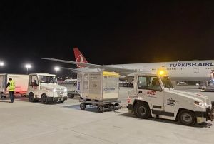 in asnn ikinci partisi Trkiyede