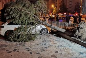 iddetli rzgar atlar uurdu, aalar yerinden skt