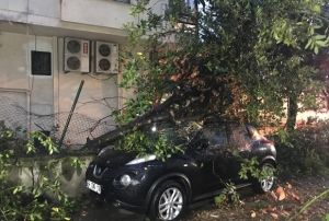 iddetli rzgarda otomobilin zerine aa devrildi