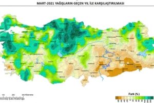 Mart aynda ya bereketi