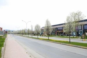 iek aan aalar grsel len sunuyor