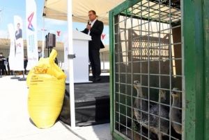 Belediyeden 100 �reticiye 10 bin kaz