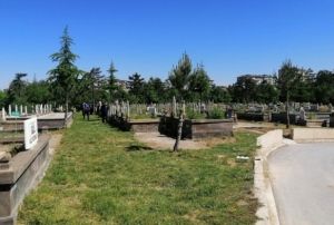 Mezarlkta intihar giriimi