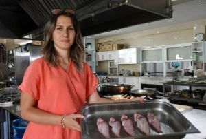 Aslan baln sofraya getirecek aratrma