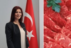 Etler 12 saat olgunlatktan sonra tketilmeli