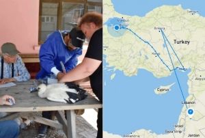 Be numarann sinyali rdn'den geldi