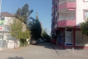 Acl baba Agl: Benim kzm intihar etmedi, ldrld