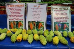 Yaralar iyiletiren byle 'kudret'li ila yok