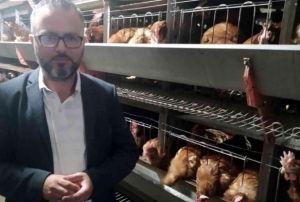 Yumurta reticileri tedbir alnmazsa batacak