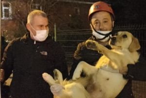 10 gndr a ve susuz balkonda mahsur kalan kpek kurtarld