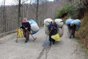 Karadeniz kadnnn kuru yaprak mesaisi