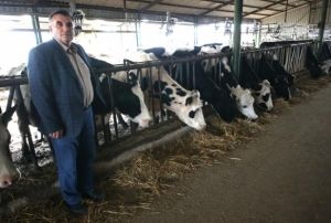 retici de, tketici de st fiyatlarna tepkili