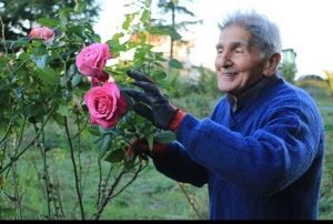 Kurakla kar ormann, sondajla ulat suyla besliyor