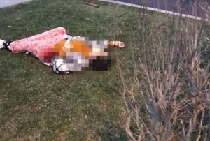 Esenyurtta kadn cinayeti: 15 yerinden bakland