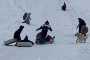 Karn tadn Ayder Yaylasnda ambrelle kayarak kardlar